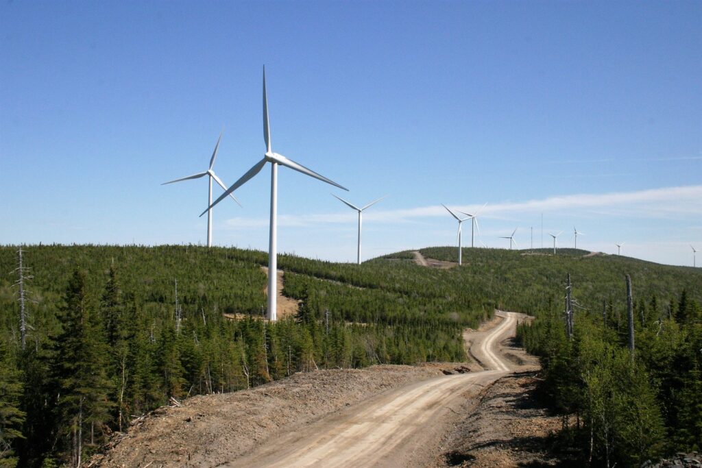 Wind turbines are situated on a hilly landscape with a dirt road winding through a dense forest. The sky is clear and blue.