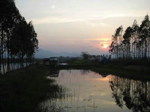 A serene sunset view over a still body of water surrounded by trees, reflecting the sky and landscape.