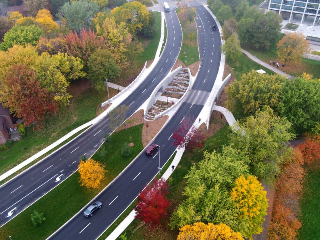 Aerial view of a divided road with a landscaped median and surrounding fall foliage. The road transitions into an overpass with a multi-use path underneath.