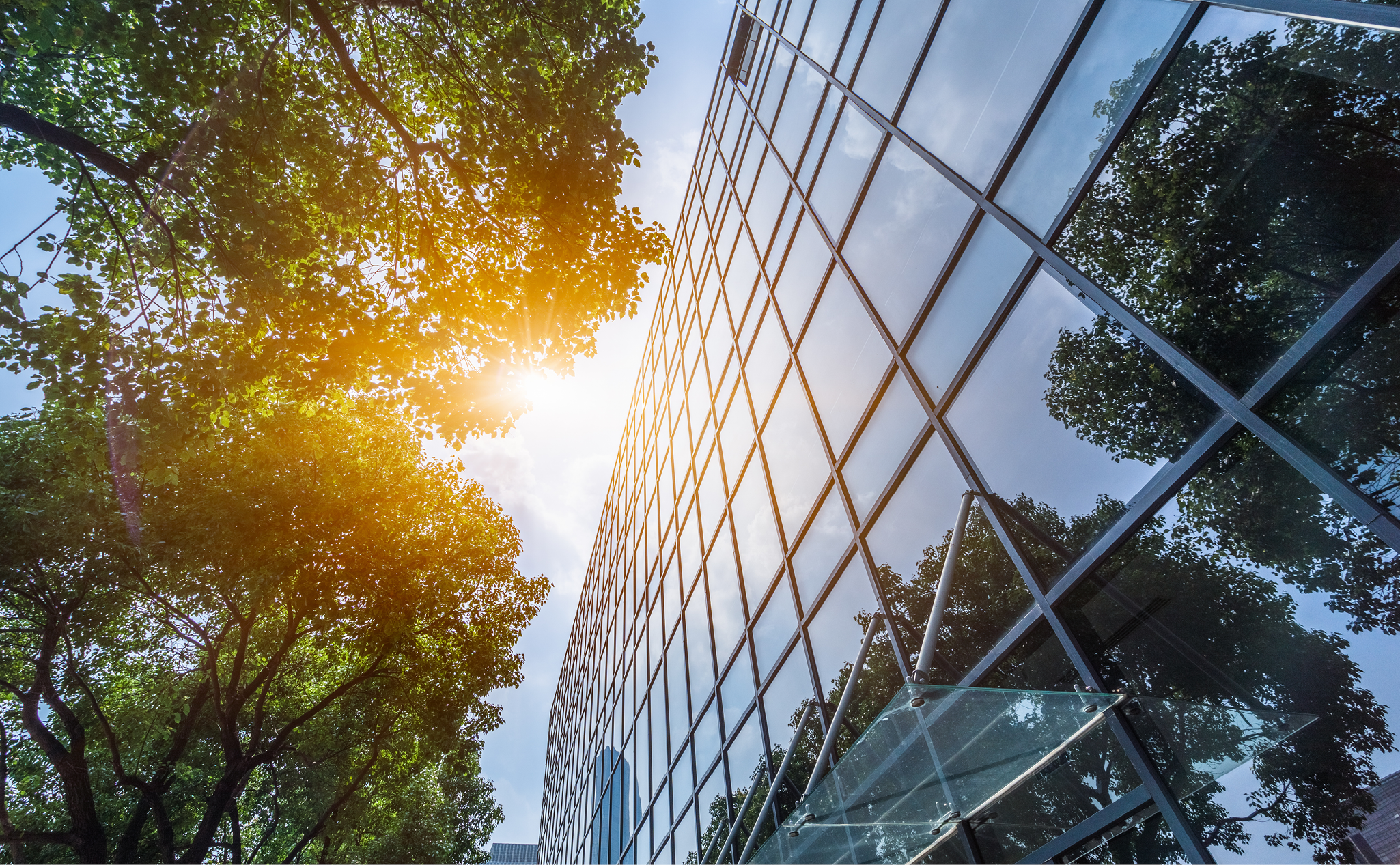 Glass facade of a modern office building reflects blue sky and trees, with sunlight shining through green leaves on the left side of the image.