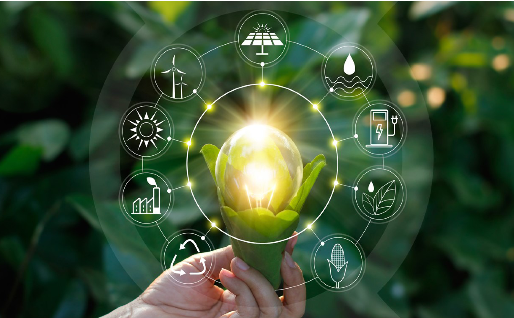 A hand holds a glowing light bulb surrounded by leaves, with circular icons representing various forms of renewable energy and environmental sustainability overlaid.